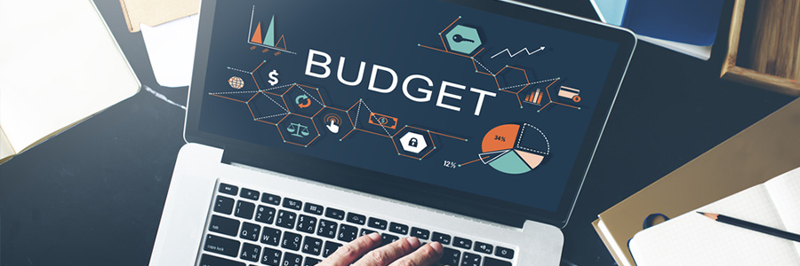 Using business intelligence to budget smart